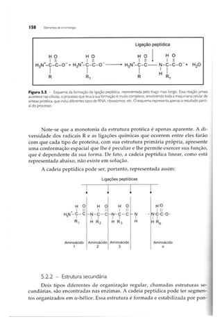 Biotecnologia industrial   vol 1