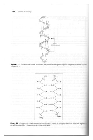 Biotecnologia industrial   vol 1