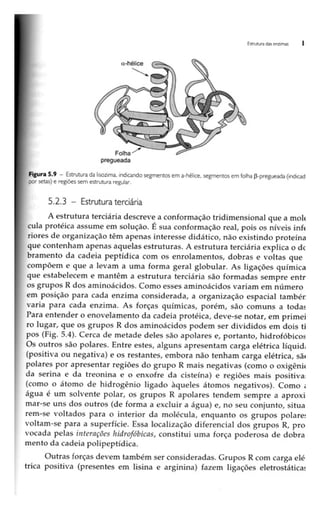 Biotecnologia industrial   vol 1