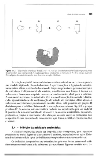 Biotecnologia industrial   vol 1