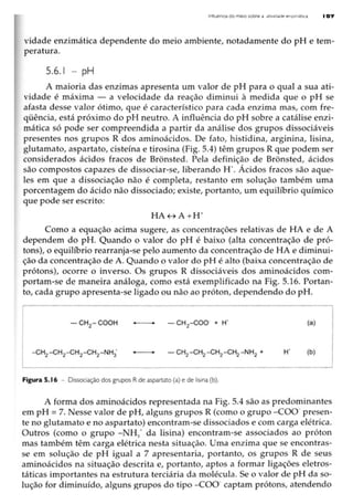Biotecnologia industrial   vol 1