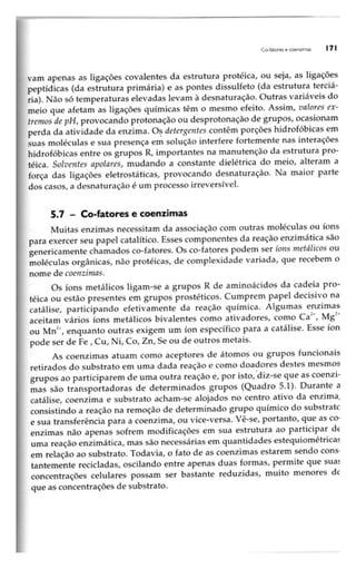 Biotecnologia industrial   vol 1