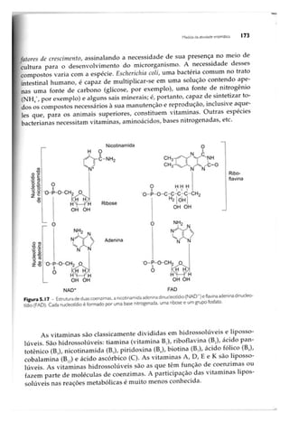 Biotecnologia industrial   vol 1