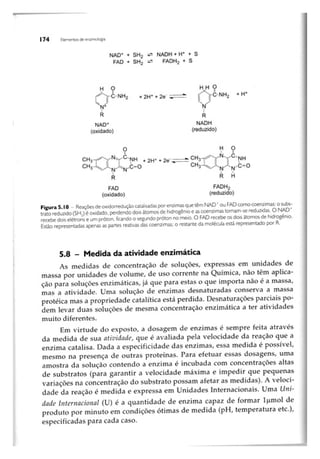 Biotecnologia industrial   vol 1