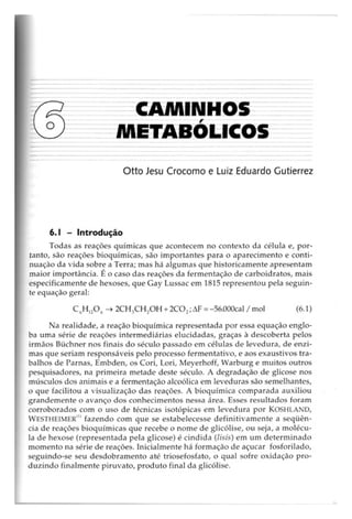 Biotecnologia industrial   vol 1