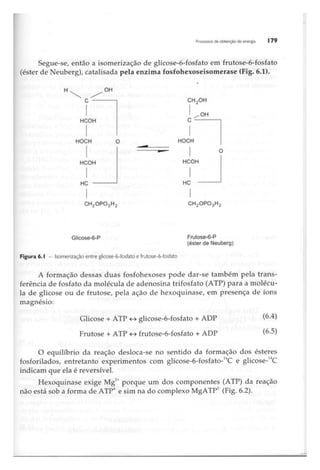 Biotecnologia industrial   vol 1