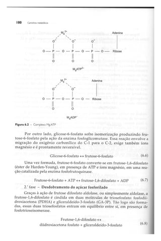 Biotecnologia industrial   vol 1