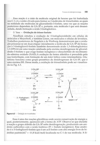 Biotecnologia industrial   vol 1