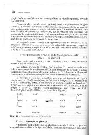 Biotecnologia industrial   vol 1