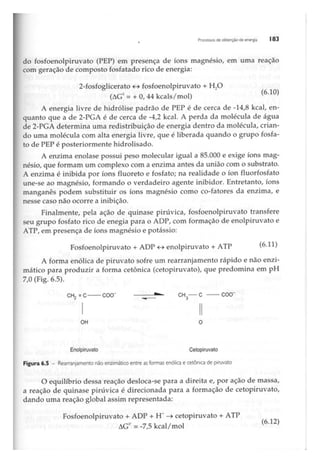 Biotecnologia industrial   vol 1