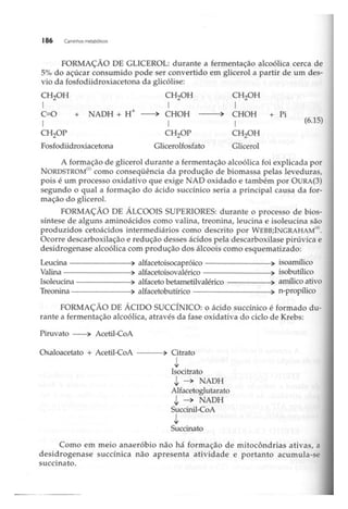 Biotecnologia industrial   vol 1