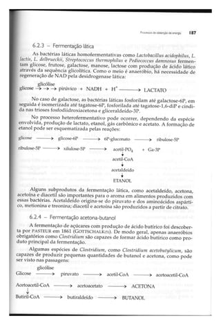 Biotecnologia industrial   vol 1