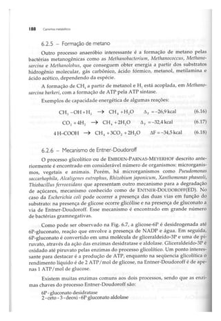 Biotecnologia industrial   vol 1