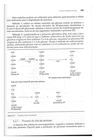 Biotecnologia industrial   vol 1