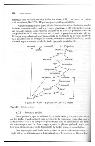 Biotecnologia industrial   vol 1