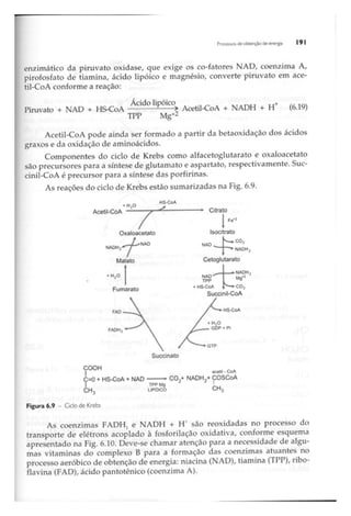 Biotecnologia industrial   vol 1