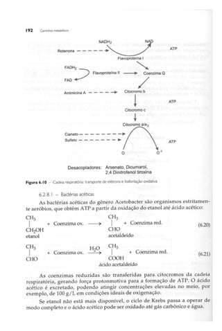 Biotecnologia industrial   vol 1