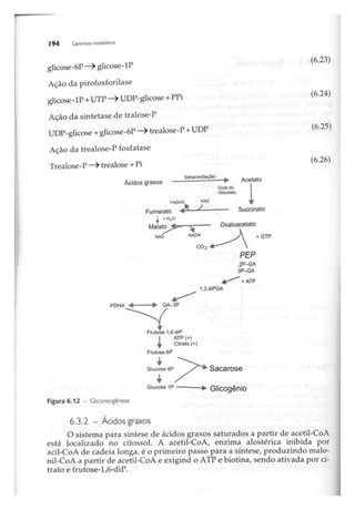 Biotecnologia industrial   vol 1