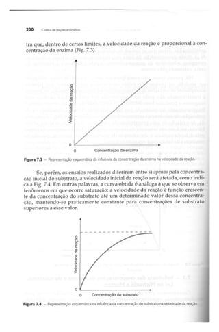 Biotecnologia industrial   vol 1