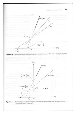 Biotecnologia industrial   vol 1