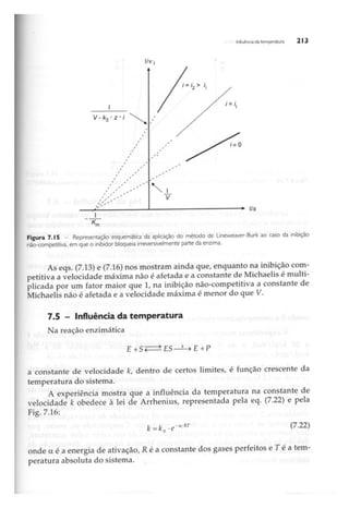 Biotecnologia industrial   vol 1