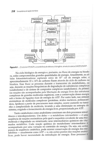 Biotecnologia industrial   vol 1