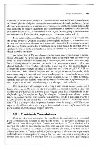Biotecnologia industrial   vol 1
