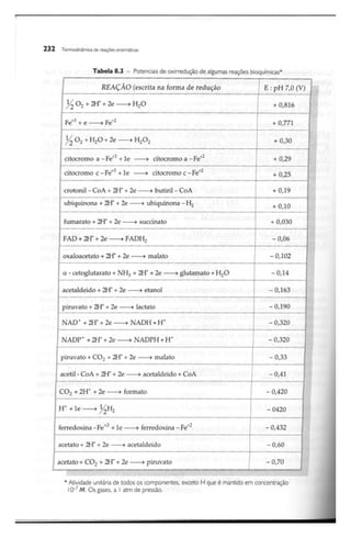 Biotecnologia industrial   vol 1