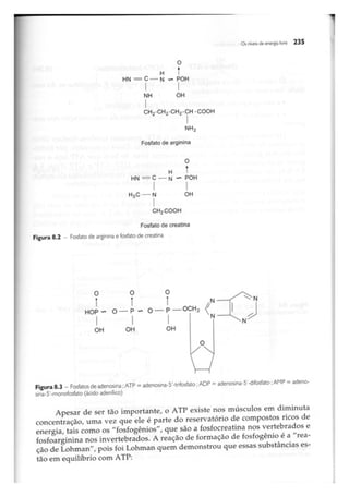 Biotecnologia industrial   vol 1