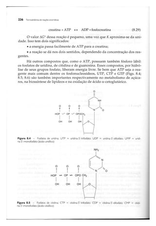 Biotecnologia industrial   vol 1