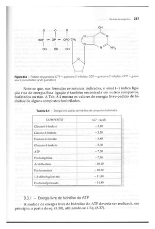 Biotecnologia industrial   vol 1