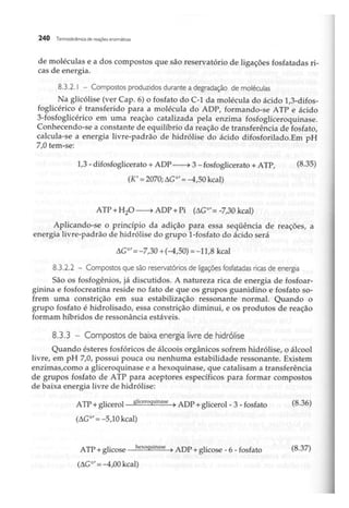Biotecnologia industrial   vol 1
