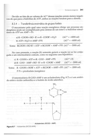 Biotecnologia industrial   vol 1