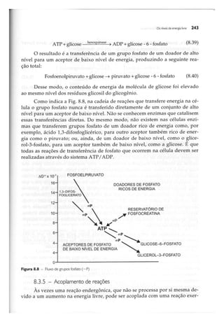 Biotecnologia industrial   vol 1