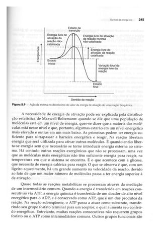 Biotecnologia industrial   vol 1