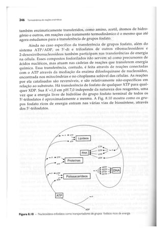 Biotecnologia industrial   vol 1