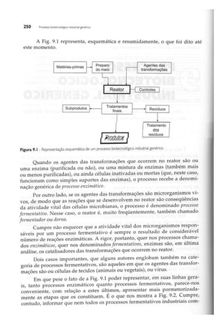 Biotecnologia industrial   vol 1