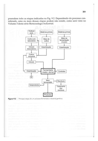 Biotecnologia industrial   vol 1