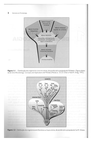 Biotecnologia industrial   vol 1