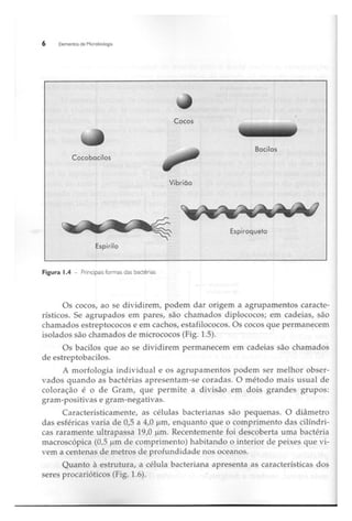 Biotecnologia industrial   vol 1