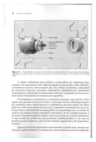 Biotecnologia industrial   vol 1