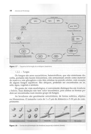 Biotecnologia industrial   vol 1