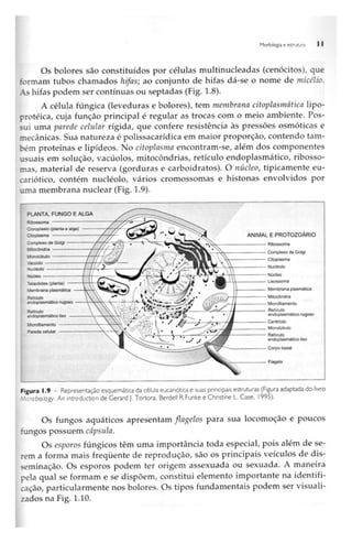 Biotecnologia industrial   vol 1