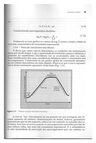 Biotecnologia industrial   vol 1