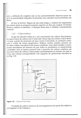 Biotecnologia industrial   vol 1