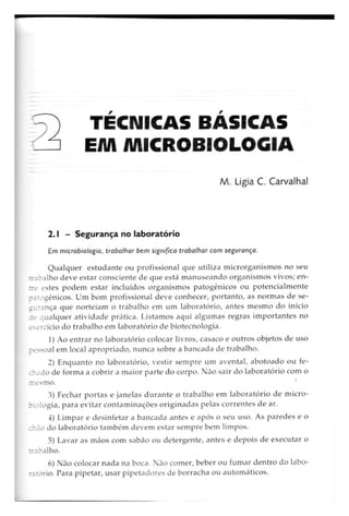 Biotecnologia industrial   vol 1