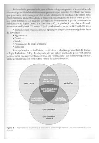 Biotecnologia industrial   vol 1