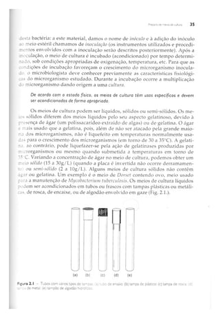 Biotecnologia industrial   vol 1