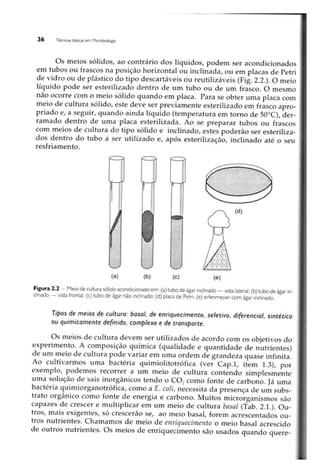 Biotecnologia industrial   vol 1