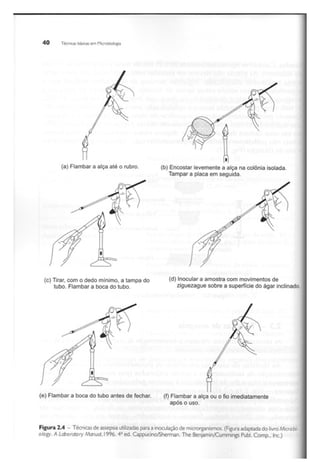 Biotecnologia industrial   vol 1